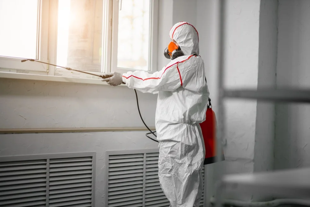 Professional mold remediation services in Mapleton, OR